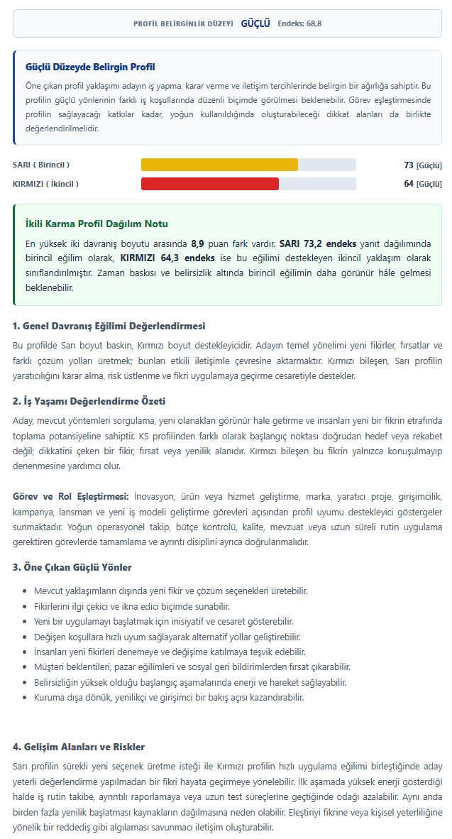 Kişilik Profili ve Çalışma Tarzı örnek raporu - Sayfa 2