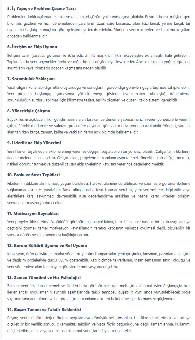 Kişilik Profili ve Çalışma Tarzı örnek raporu - Sayfa 3