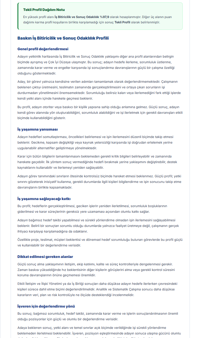 Profesyonel Yetkinlik ve İş Davranışları örnek raporu - Sayfa 3