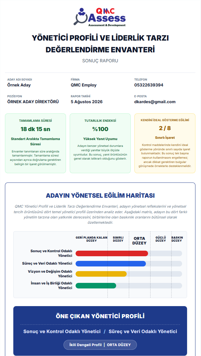 Yönetici Profili ve Liderlik Tarzı örnek raporu - Sayfa 1
