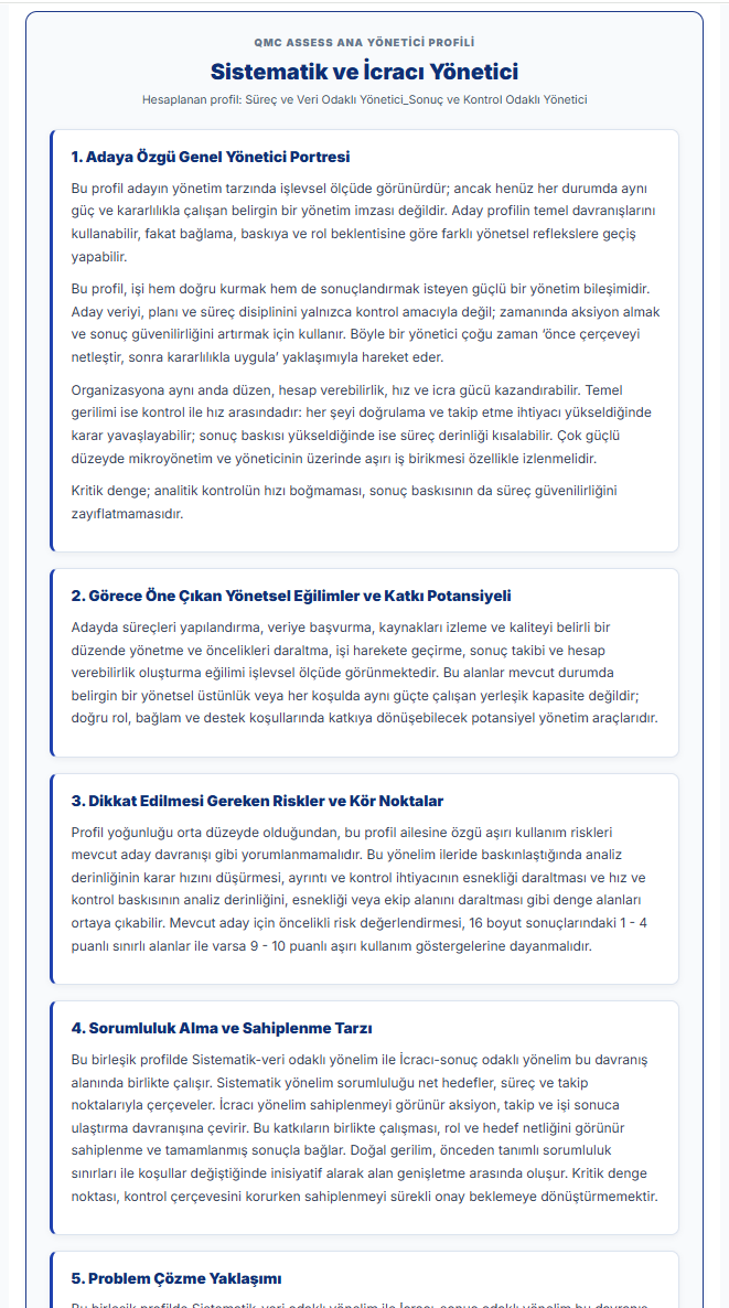 Yönetici Profili ve Liderlik Tarzı örnek raporu - Sayfa 3